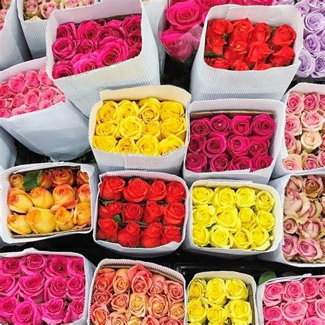 are rose wholesale and rosegal related